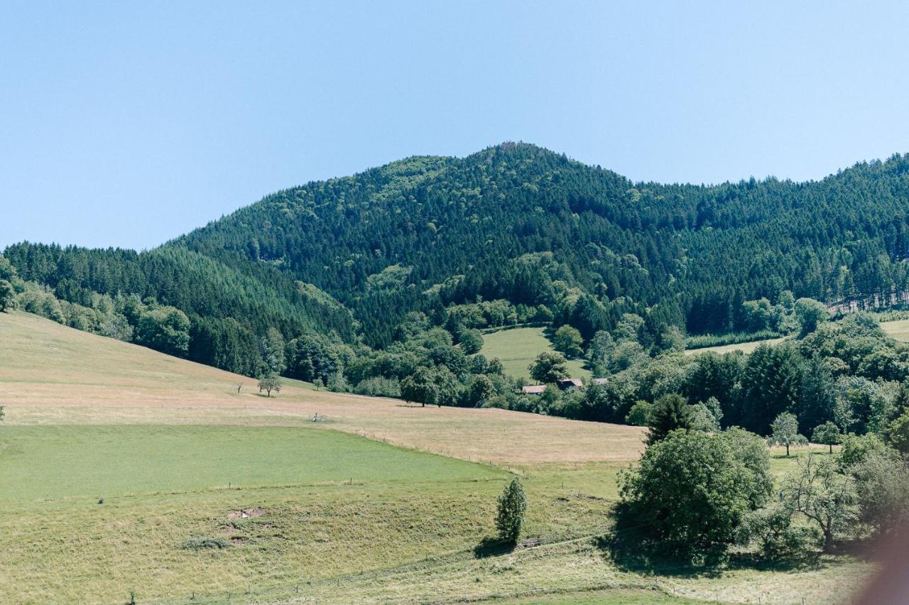 Moderne 2 Zi.-Fewo Blackforestart Naehe Freiburg ซีมอนส์วัลด์ ภายนอก รูปภาพ